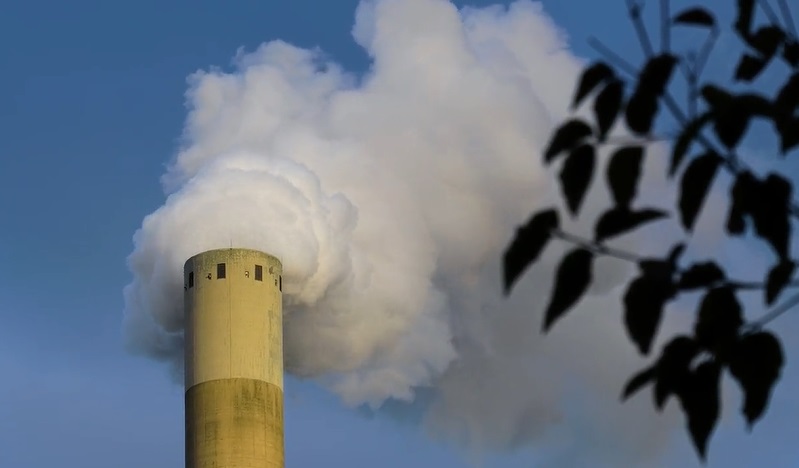 $11 Trillion Investor Group Says Carbon Removals no Longer Count Towards Net Zero Goals