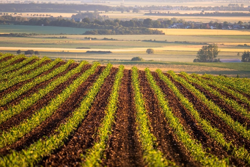 Climate Tech Startup Andes Raises $30 Million to Remove Carbon using Farm Soil