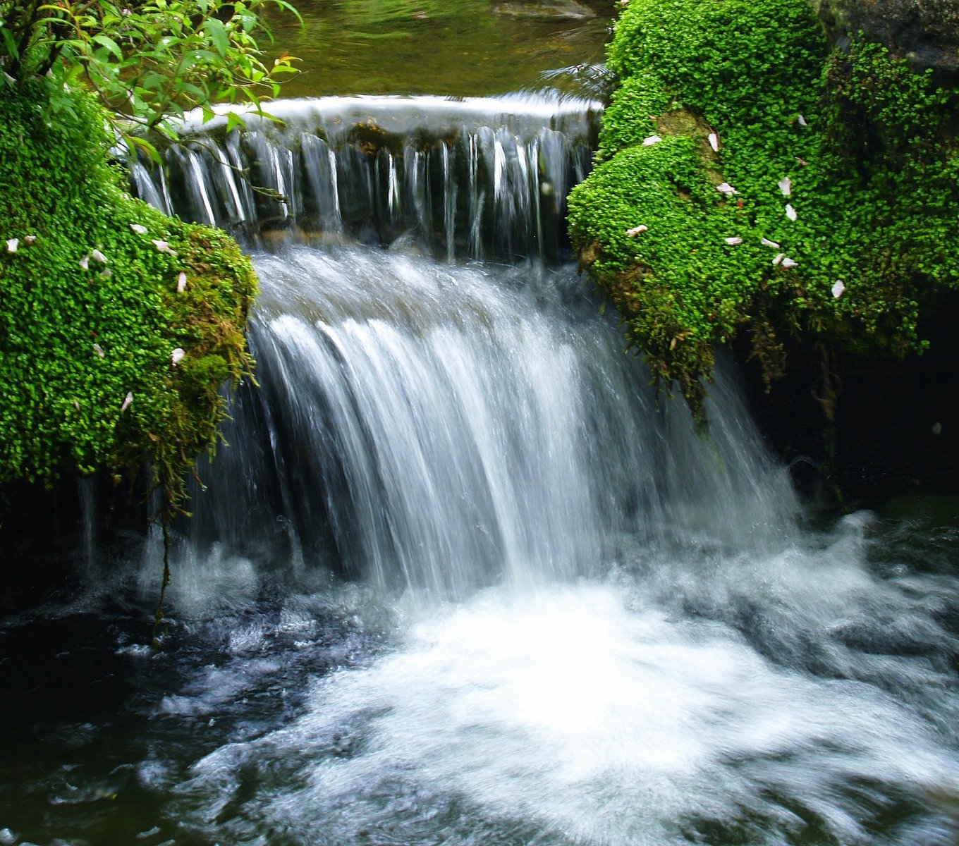 U.S. ESG Fund Flows Break Records in 2019